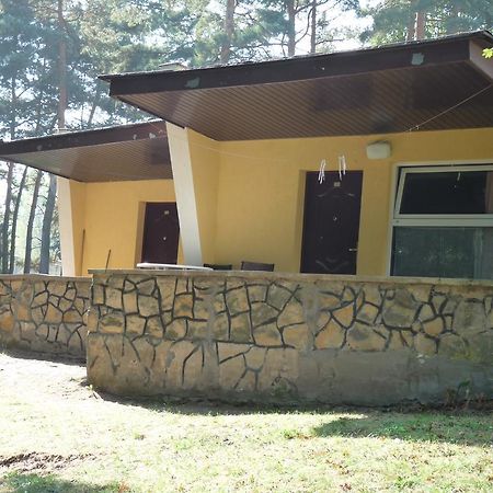 Hotel Osrodek Wypoczynkowy Jelonek Wolsztyn Esterno foto